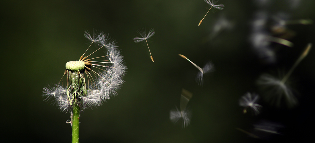 The Quiet Revolution in Fundraising