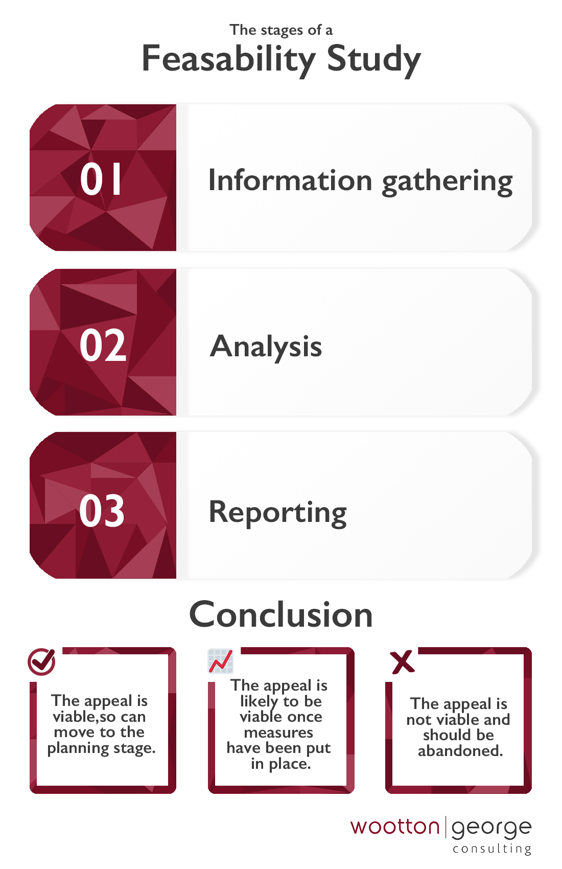 Feasibility study infographic